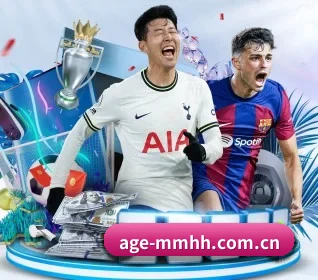 五大服务分区,信息按项目分类 - AGE